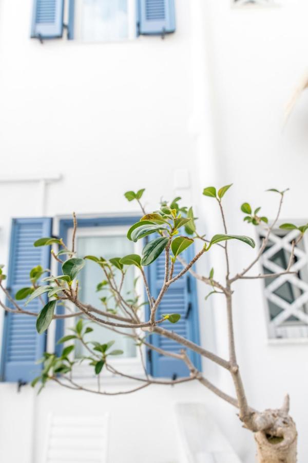 Argiro Hotel Tinos ภายนอก รูปภาพ